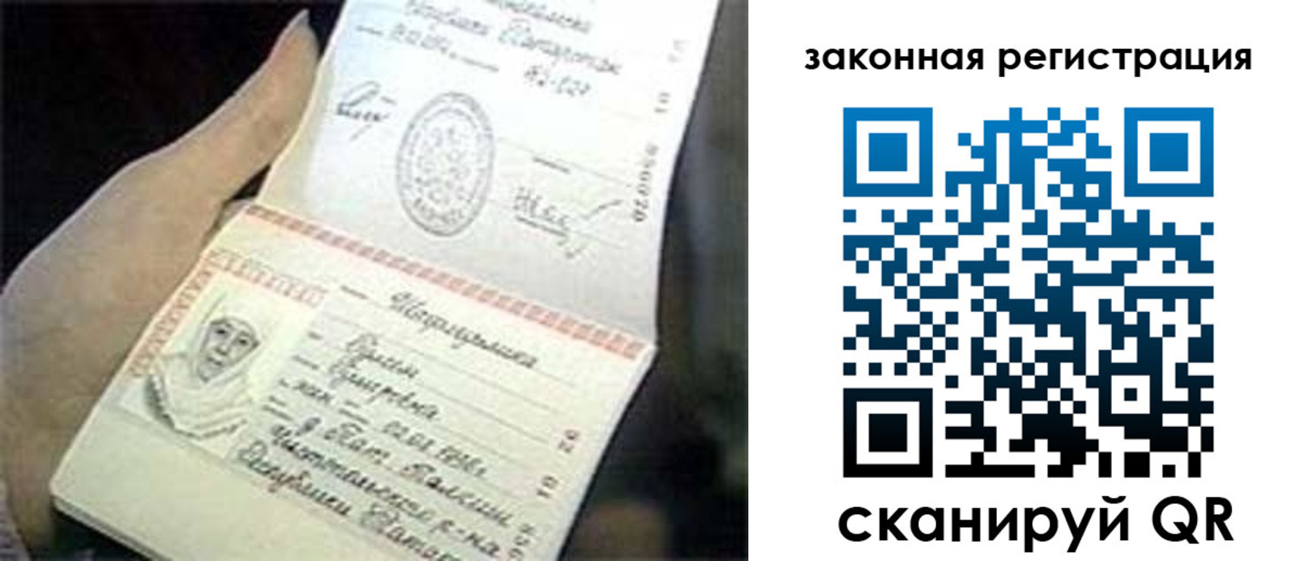 прописка для школы в Коле