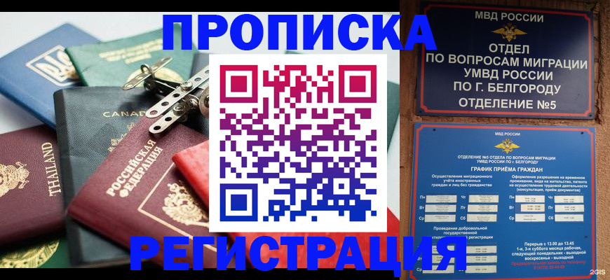 временная регистрация недорого в Коле